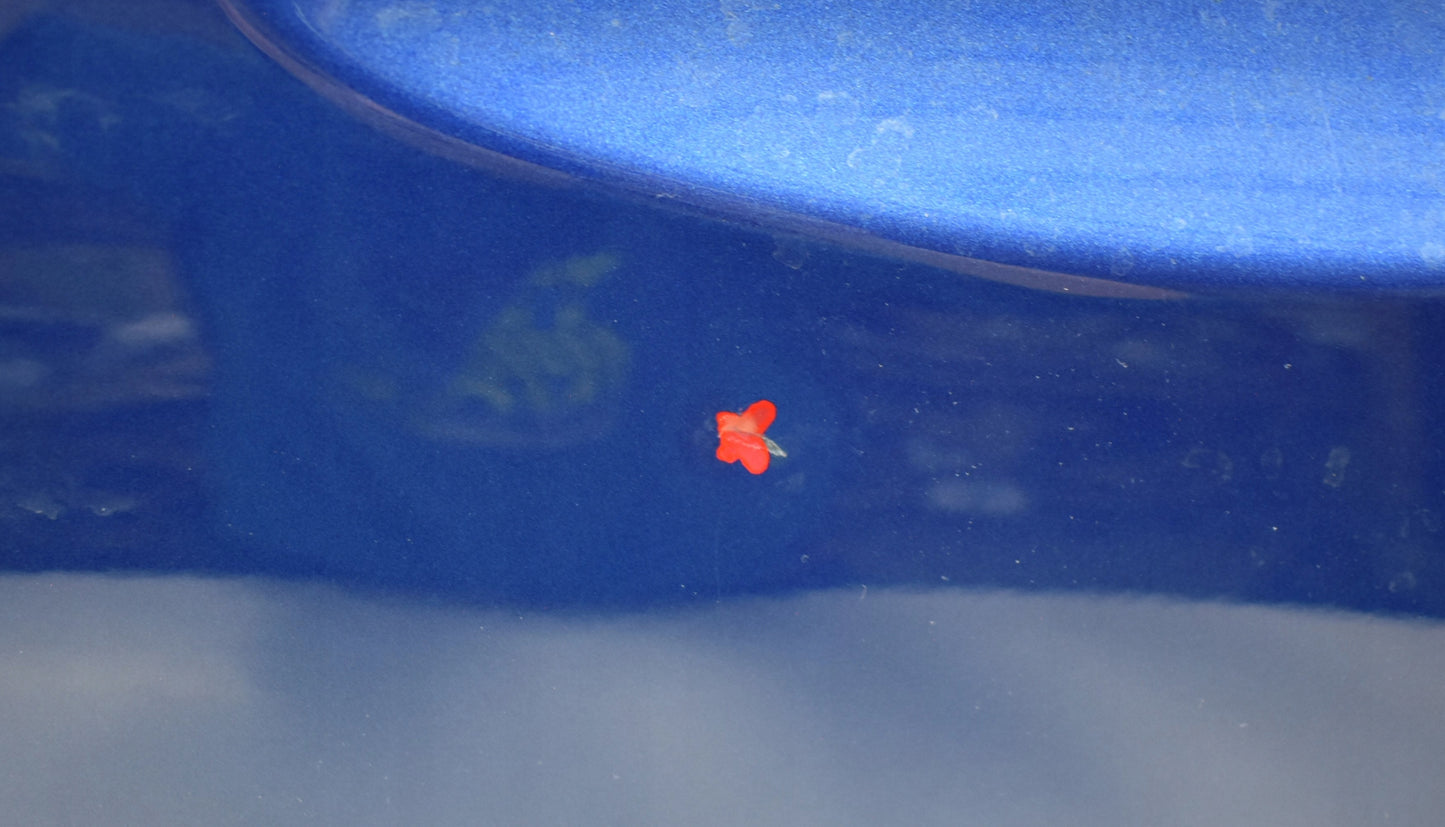 MERCEDES A-CLASS W177 LEFT REAR DOOR ORG HB