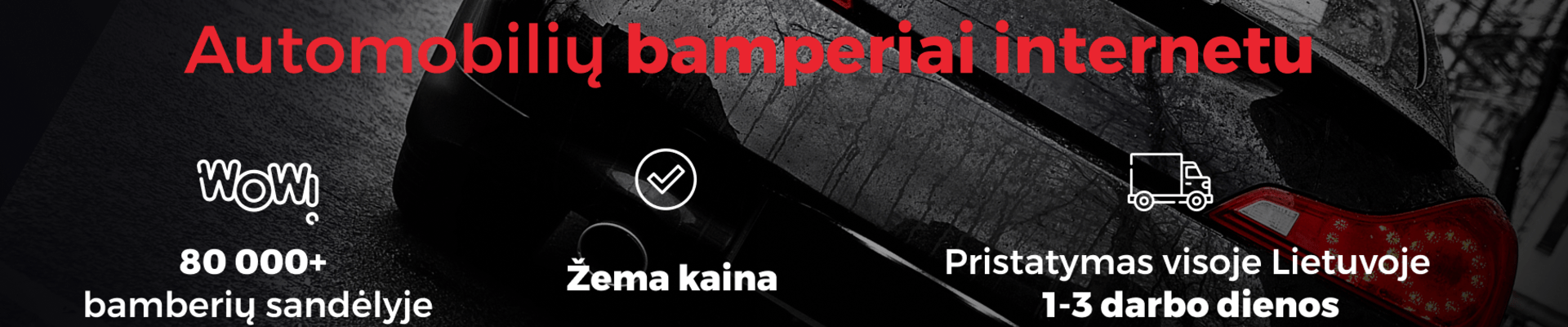 Pavyzdys turinio viduryje 1