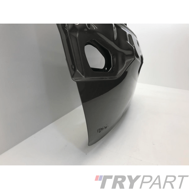 Toyota Auris E180 Hečbekas 2013-2015 Galinis dangtis (bagažinės) 6700502280 2