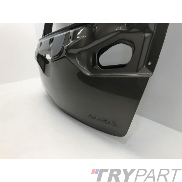 Toyota Auris E180 Hečbekas 2013-2015 Galinis dangtis (bagažinės) 6700502280 5