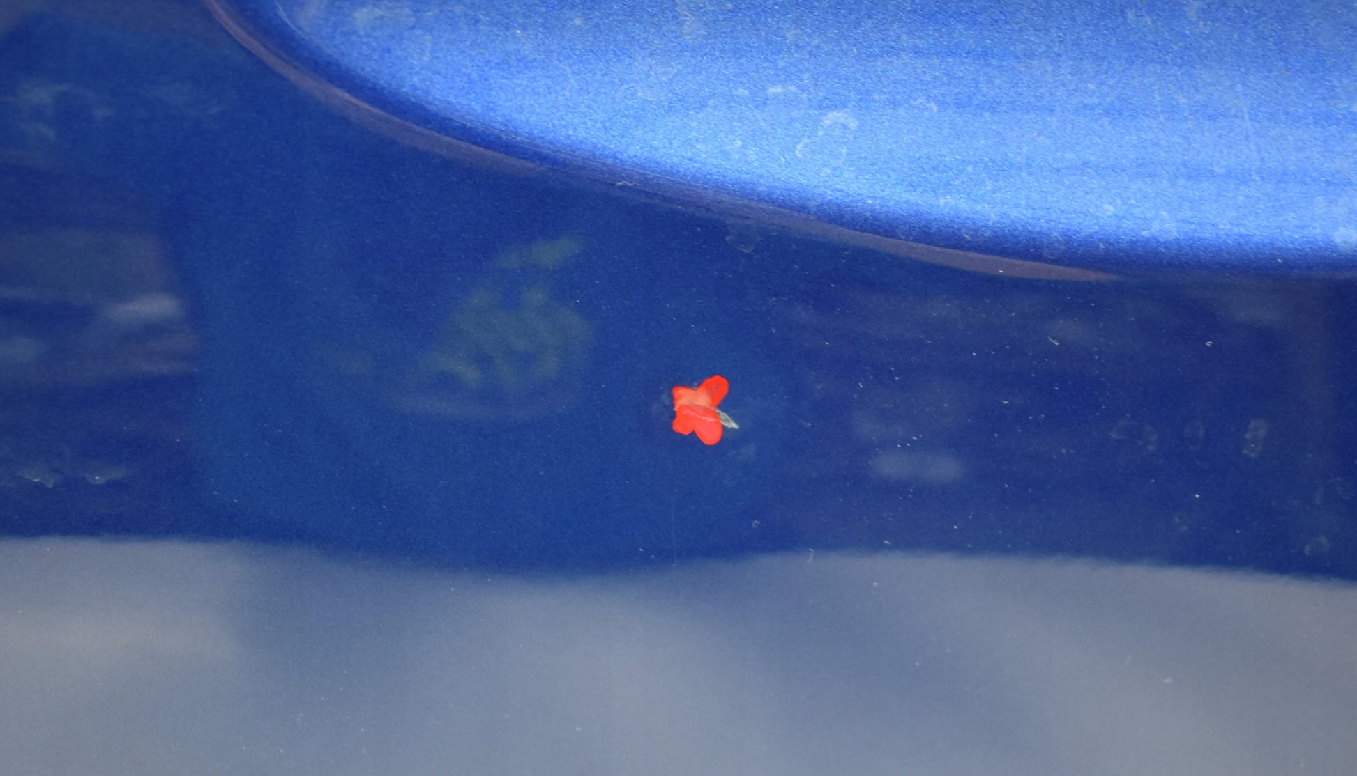 MERCEDES A-CLASS W177 LEFT REAR DOOR ORG HB