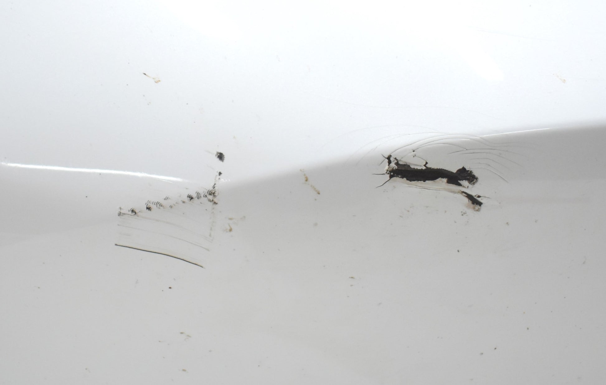 TESLA MODEL Y FRONT BUMPER ORG