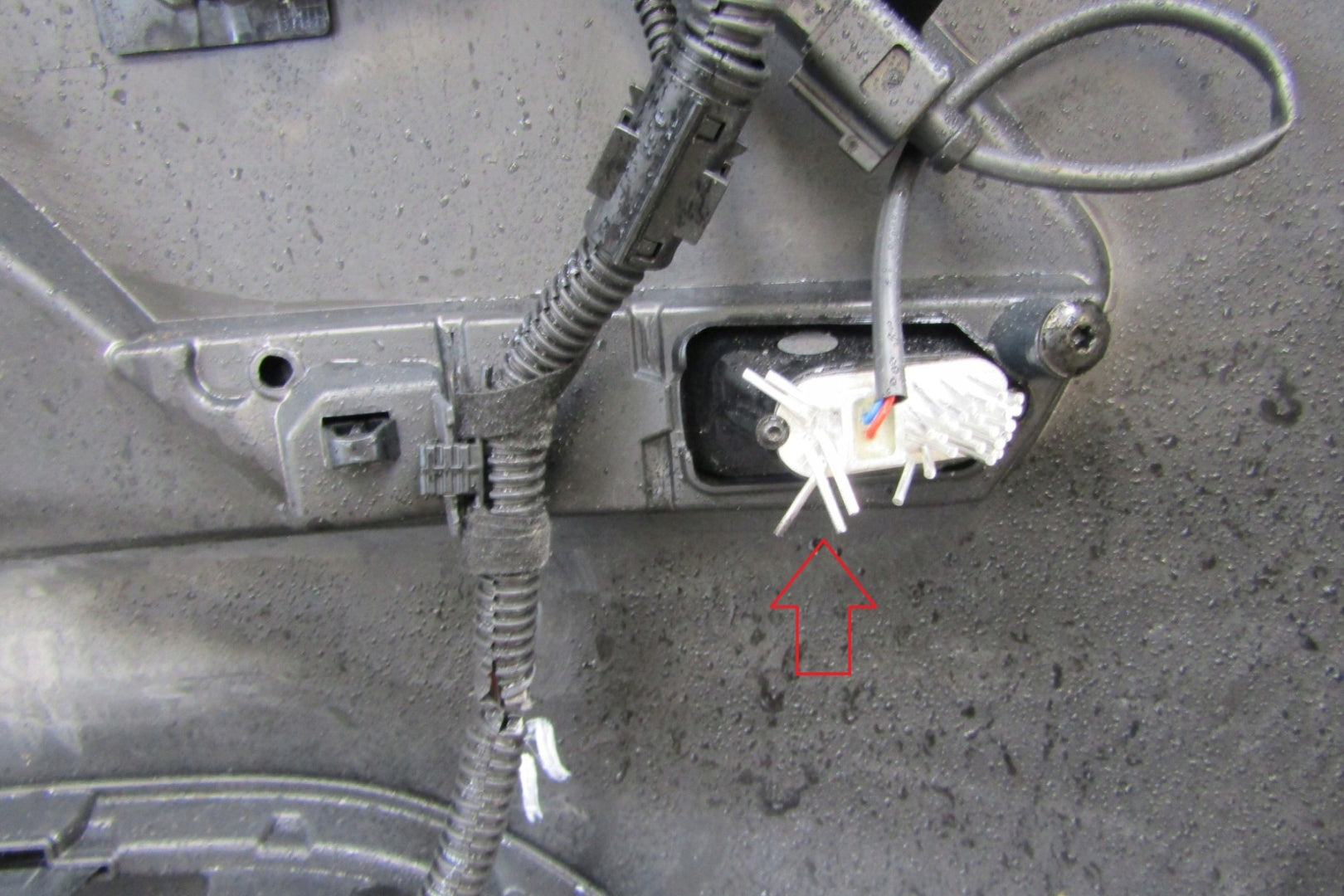 VW Up 1S6 Lift 16- Rear Bumper (Camera + PDC)